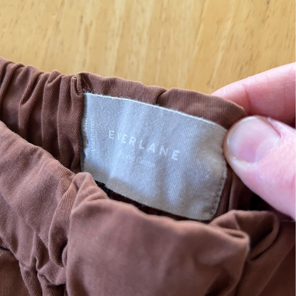 Everlane Rust-Brown Elastic Waist Pants - Picture 4 of 6